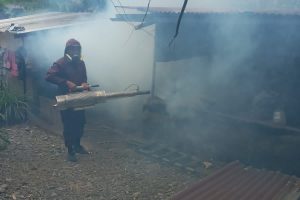 ALCALDÍA DE VALENCIA REALIZA FUMIGACIONES.